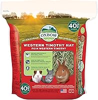 Vista 21 de Oxbow Western Timothy Hay, heno de conejillo de indias, suministros para conejitos de mascotas pequeñas, hierba natural para conejillo de indias