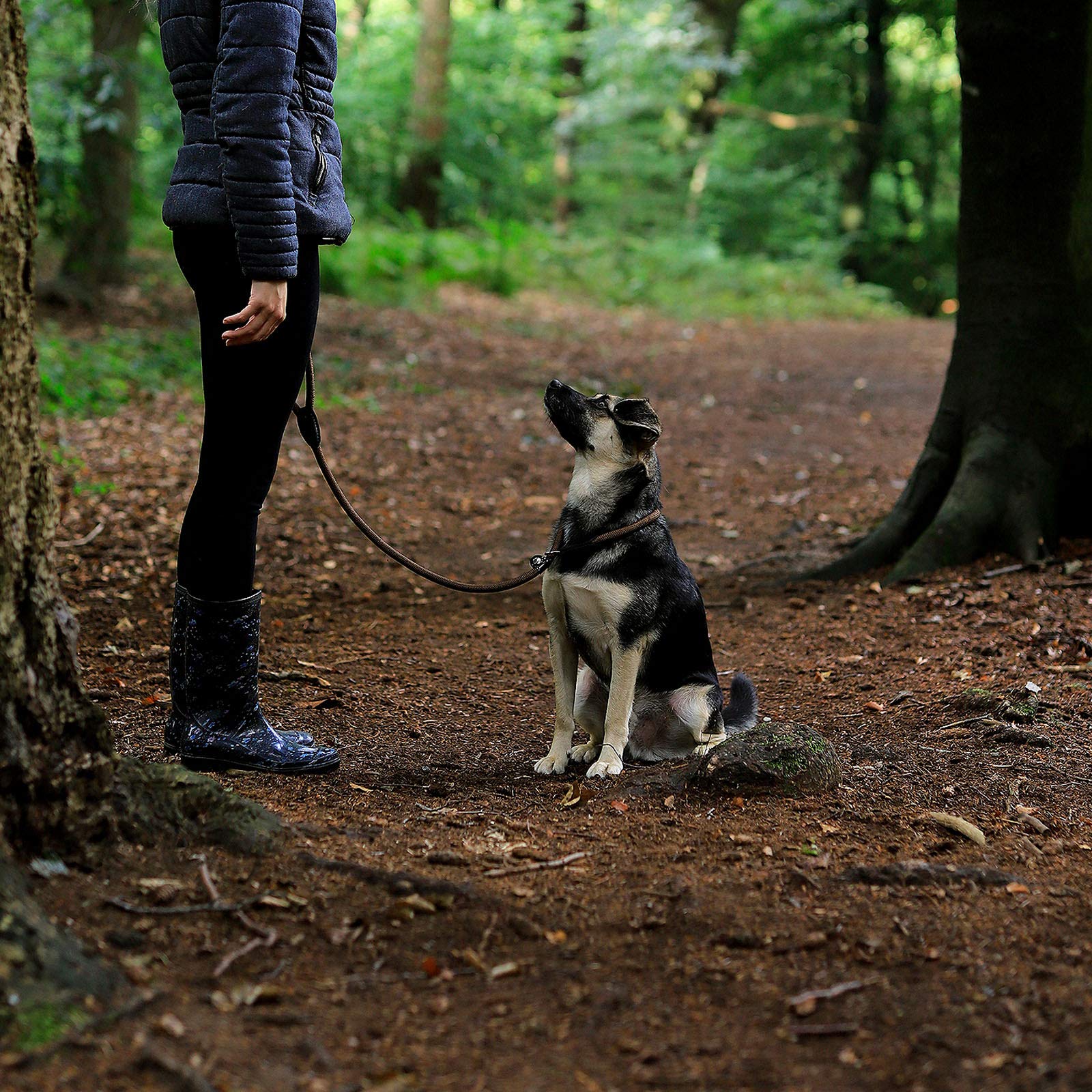 lionto Smycz typu retriever, 170 cm, odporna na warunki pogodowe, smycz i obroża w jednym, szybkie zakładanie, z miękkim materiałem chroniącym sierść i z blokadą zacisku, wegańska, kolor brązowy