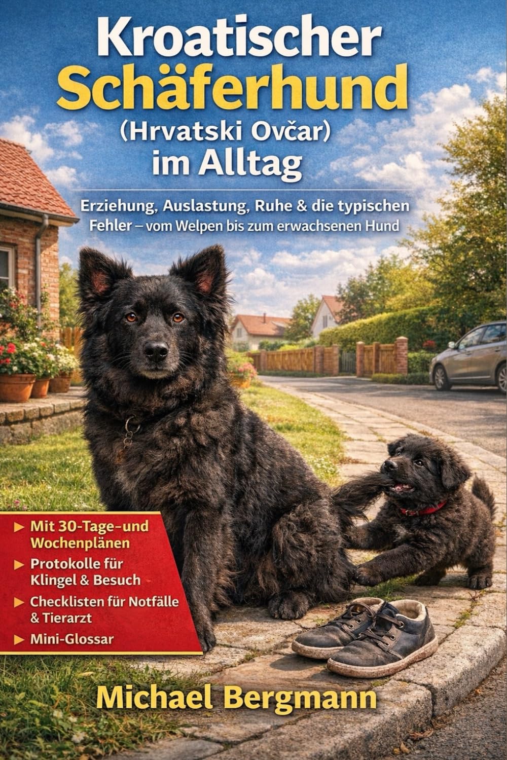 Kroatischer Schäferhund (Hrvatski Ovčar) im Alltag: Erziehung, Auslastung, Ruhe & die typischen Fehler - vom Welpen bis zum erwachsenen Hund