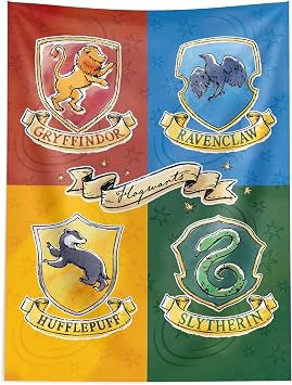 Northwest Harry Potter Tapestry, Hogwarts Wall Hanging Poster, Official Warner Bros Birthday Banner Backdrop, 40x57 Inch