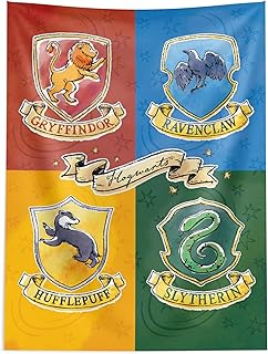 Harry Potter Tapestry, Hogwarts Wall Hanging Poster, Official Warner Bros Birthday Banner Backdrop, 40x57 Inch