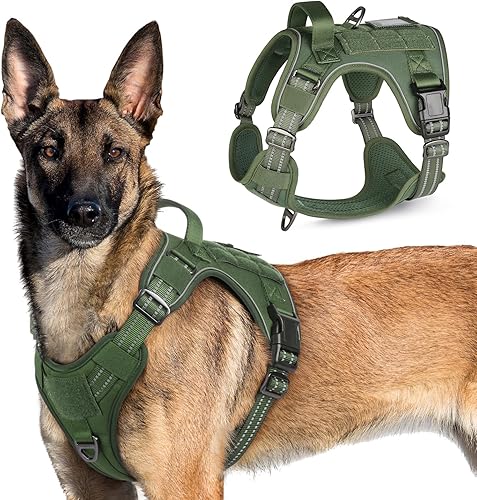Miniatura 44 de rabbitgoo - Arnés táctico para perros grandes, chaleco de servicio militar sin tirones con asa y Molle, fácil control para entrenamiento y caminata