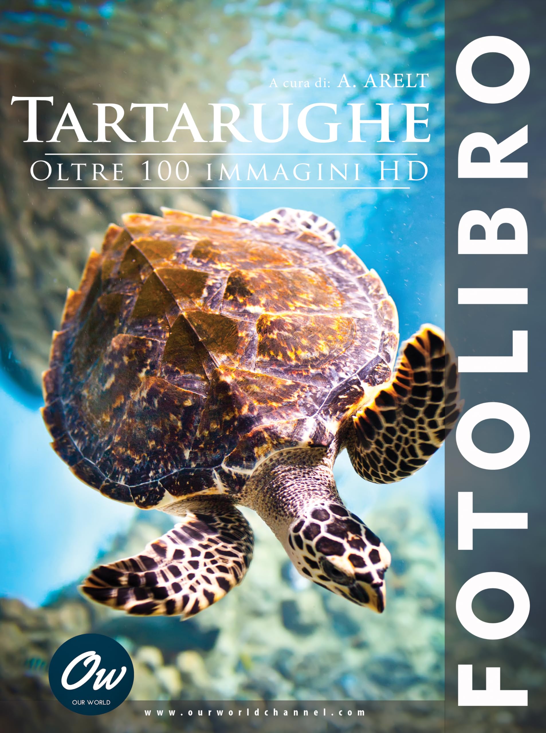 Livre photo de tortues HD pour s'évader et explorer la vie sauvage depuis chez soi.