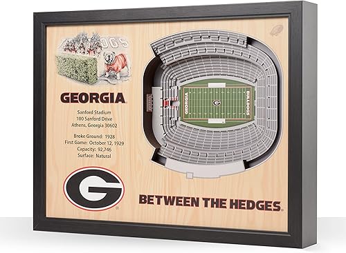 YouTheFan NCAA - Arte de pared con vista al estadio de 25 capas