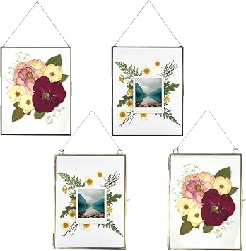 Beedecor Double Glass Floating Frame Bundle 4-Pack 2 Gunmetal Black, 2 Antique Bronze Hanging 8x10 Frames for Pressed Flowers, Photos & Artwork, Metal Wall Decor