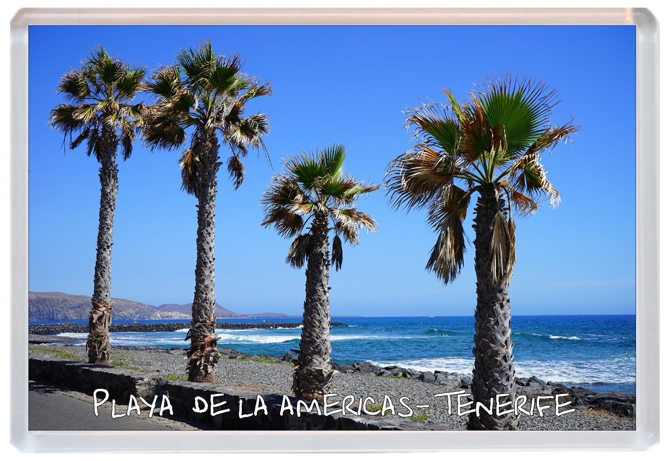 Baked Bean Store Transparent Playa De La Americas - Tenerife - Canary Islands - Jumbo Fridge Magnet