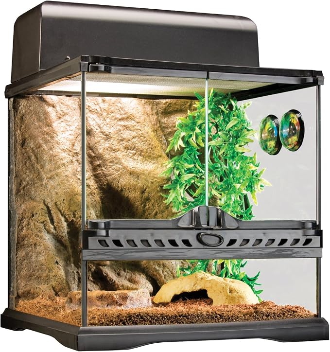Exo Terra Invertebrate Terrarium Habitat Kit