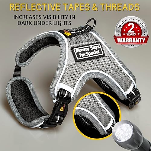 Miniatura 2 de ADITYNA Arneses para perros pequeños sin tirones - Arnés para perro sin escape - Arnés acolchado reflectante y suave - Fácil ajustable para el uso