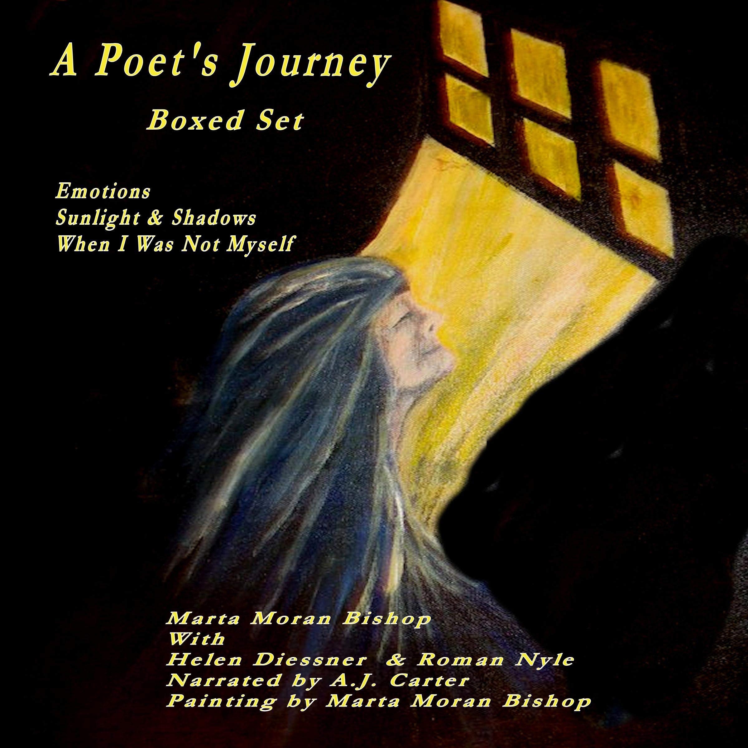 A Poet's Journey - Boxed Set: Emotions, Sunlight and Shadows, and When I Was Not Myself