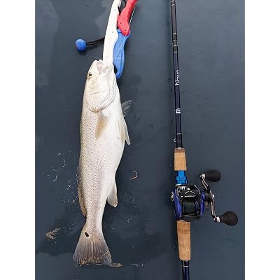 daiwa cltw200hs coastal tws reel Reel, 7.3: 1 Gear Ratio, 7CRBB, 1RB, 15.40 lb Max Drag, Right Hand Sports & Outdoors Their strong and adaptable performance makes them suitable for inshore saltwater use on any coastline Daiwa Coastal TW 200 Inshore