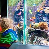 Vista 7 de Junkin 48 Piezas Mini Figuras de Ajolote Encantos Figuras de Ajolote de Resina Miniatura Nuevas Figuras Pequeñas de Animales Ornamento para Jardín