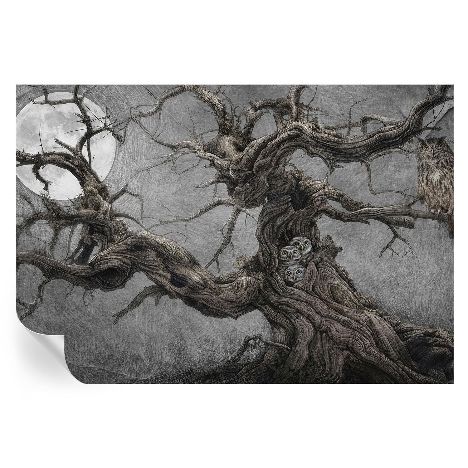 Vinilos decorativos de pasillo 152x104 cm y cubiertas de pared con estampados ilustrados