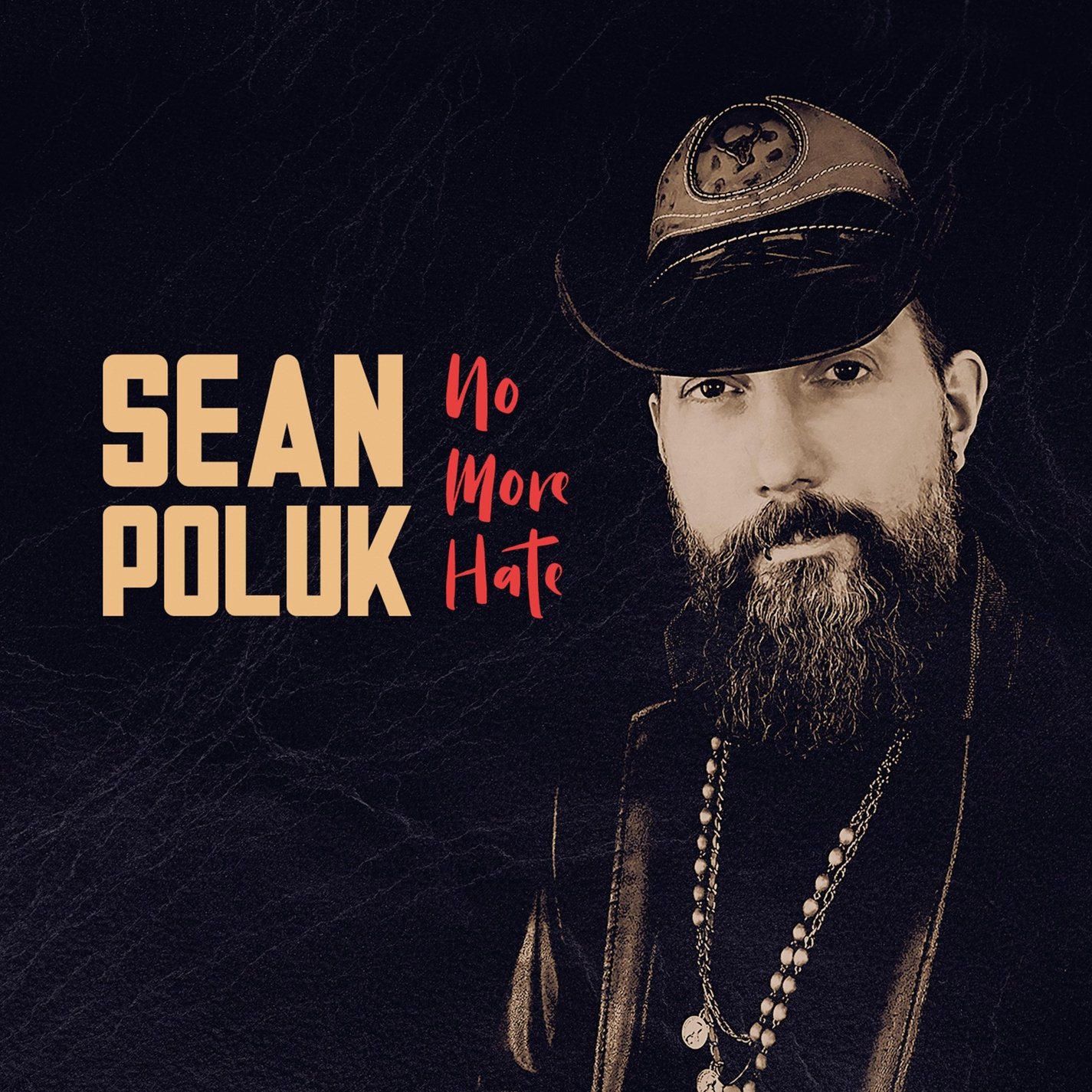 No More Hate [Audio CD] Sean Poluk