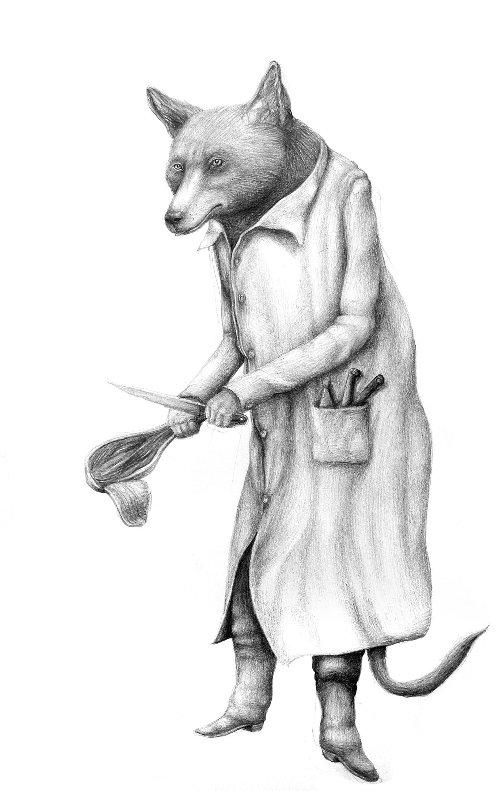 Il numero delle bestie. Ediz. illustrata