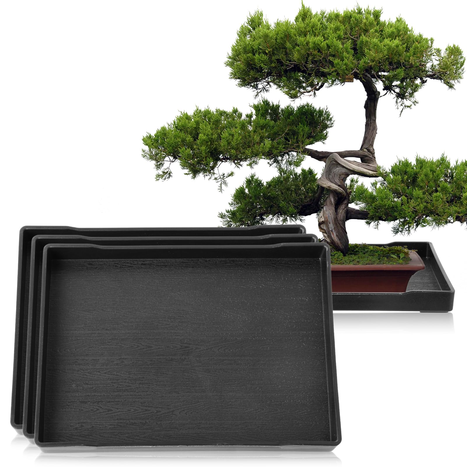 CODOHI 4-Pack Bonsai Humidity Plant Tray