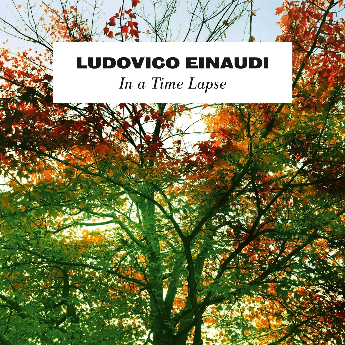 In a Time Lapse [Audio CD] Ludovico Einaudi
