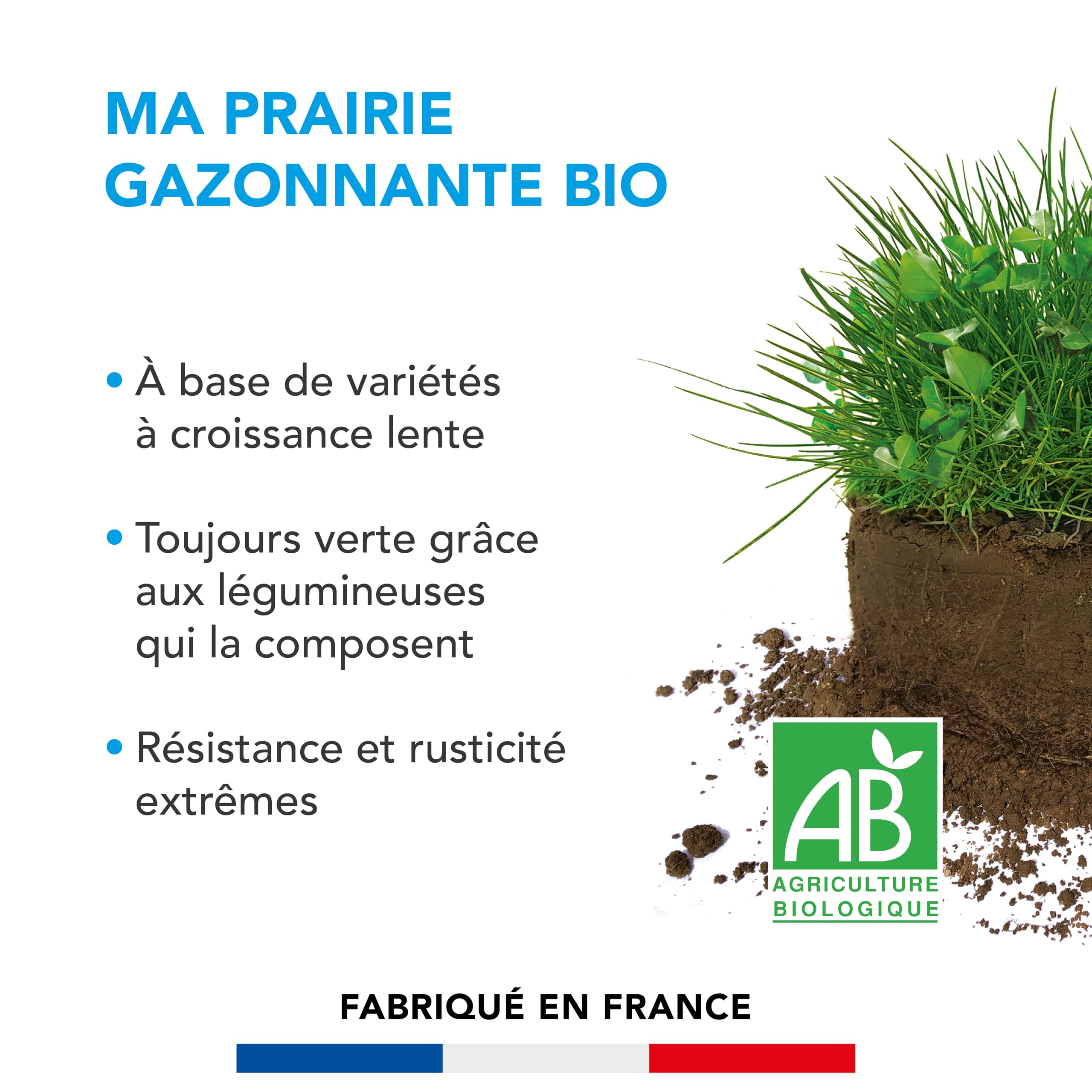 BARENBRUG - Prairie Gazonnante BIO - Variétés à Croissance Lente - 10KG | Reste Verte Plus Longtemps - Très Résistante - Aucun Engrais Nécessaire - Fabriqué en France
