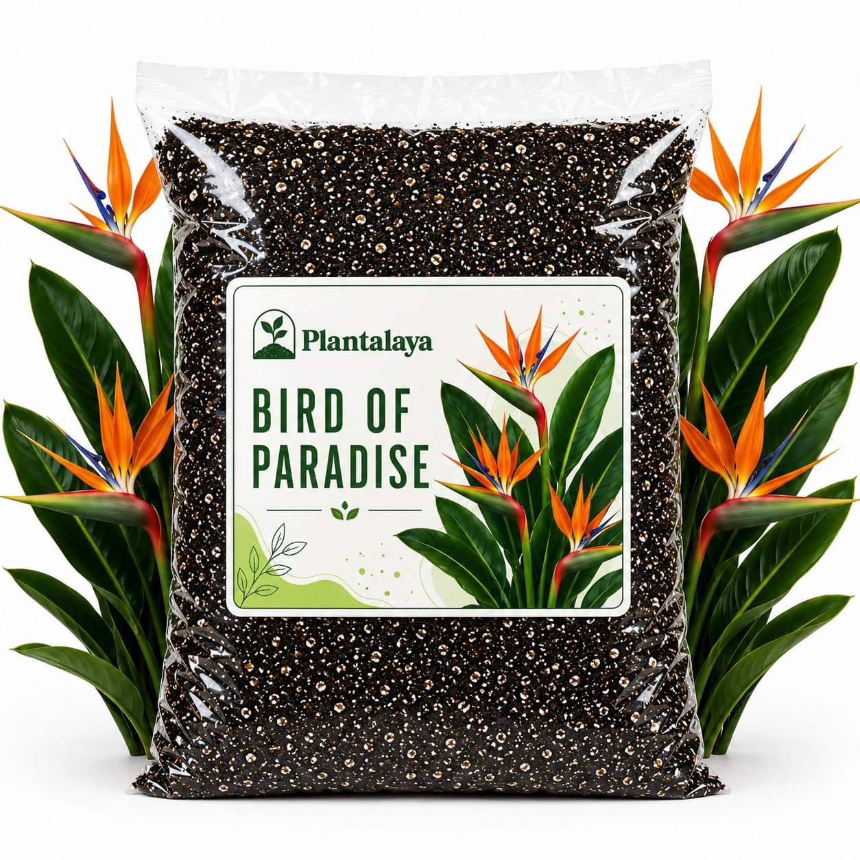 Bird of Paradise Potting Mix – Premium Free Draining Soil Blend for Strelitzia Nicolai & Strelitzia Reginae – Nutrient Rich Growing Medium for Healthy Roots & Tropical Foliage (1 Litre)