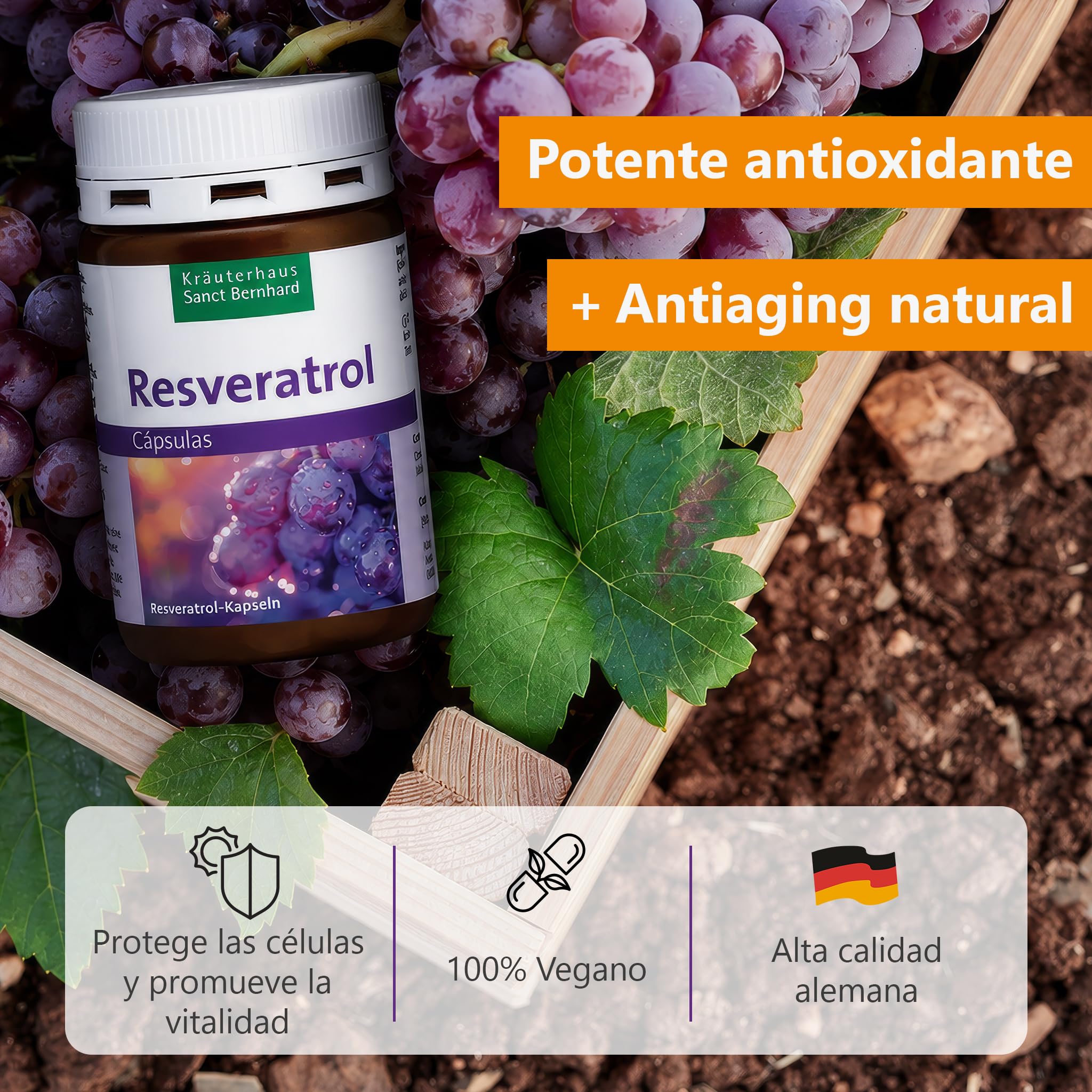 Resveratrol Puro – 250 mg Trans-Resveratrol por Cápsula – 3x 90 Cápsulas Veganas – Potente Antioxidante Natural – Suplemento Antienvejecimiento – 1 al Día