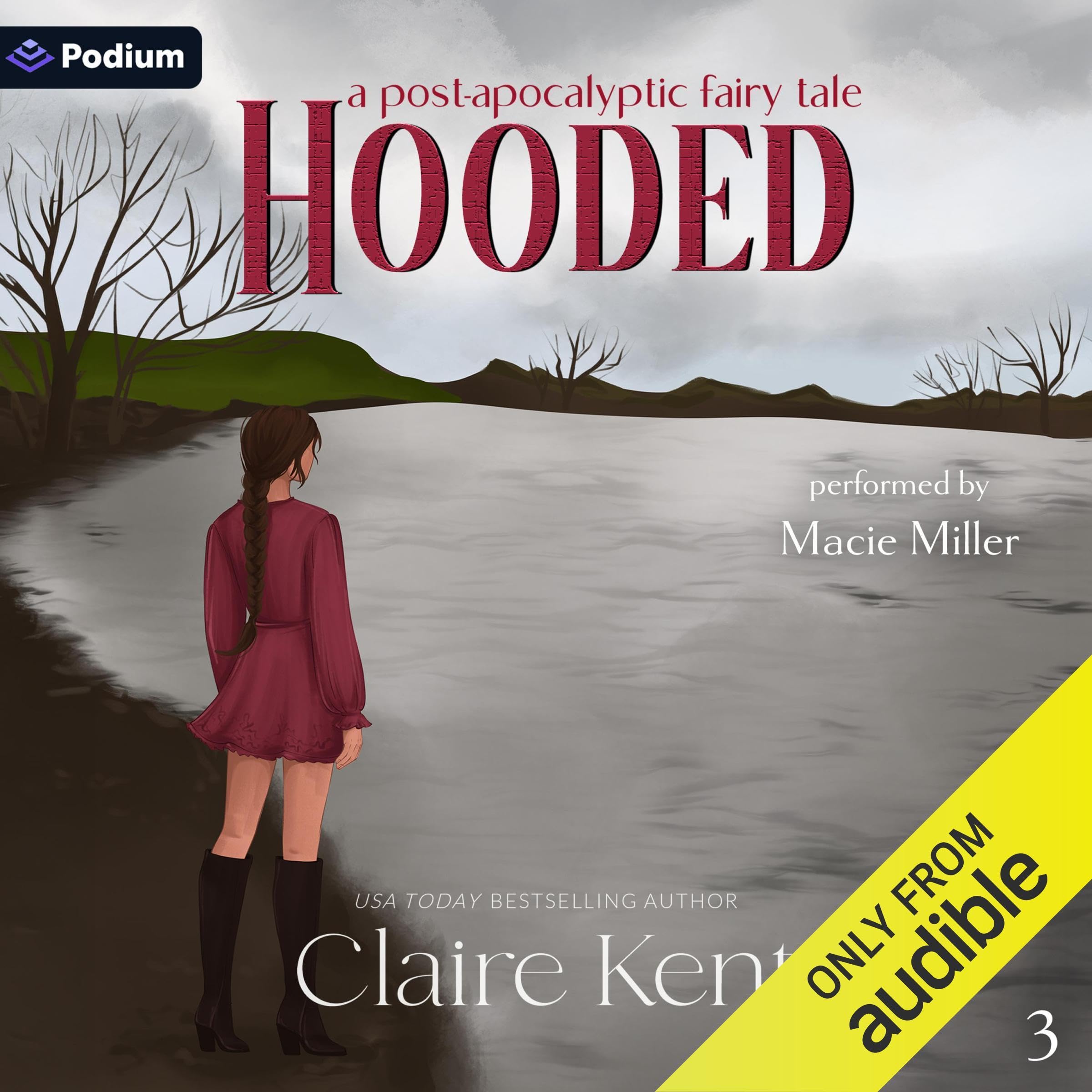Cover art for Hooded