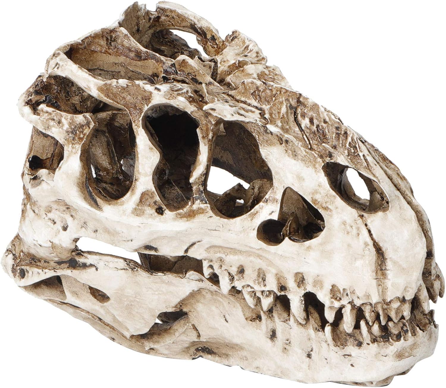 Yctze Unique Dinosaur Skull Decor, Animal Skeleton Statue, Halloween Props, Collection Craft Piece for Home Decor