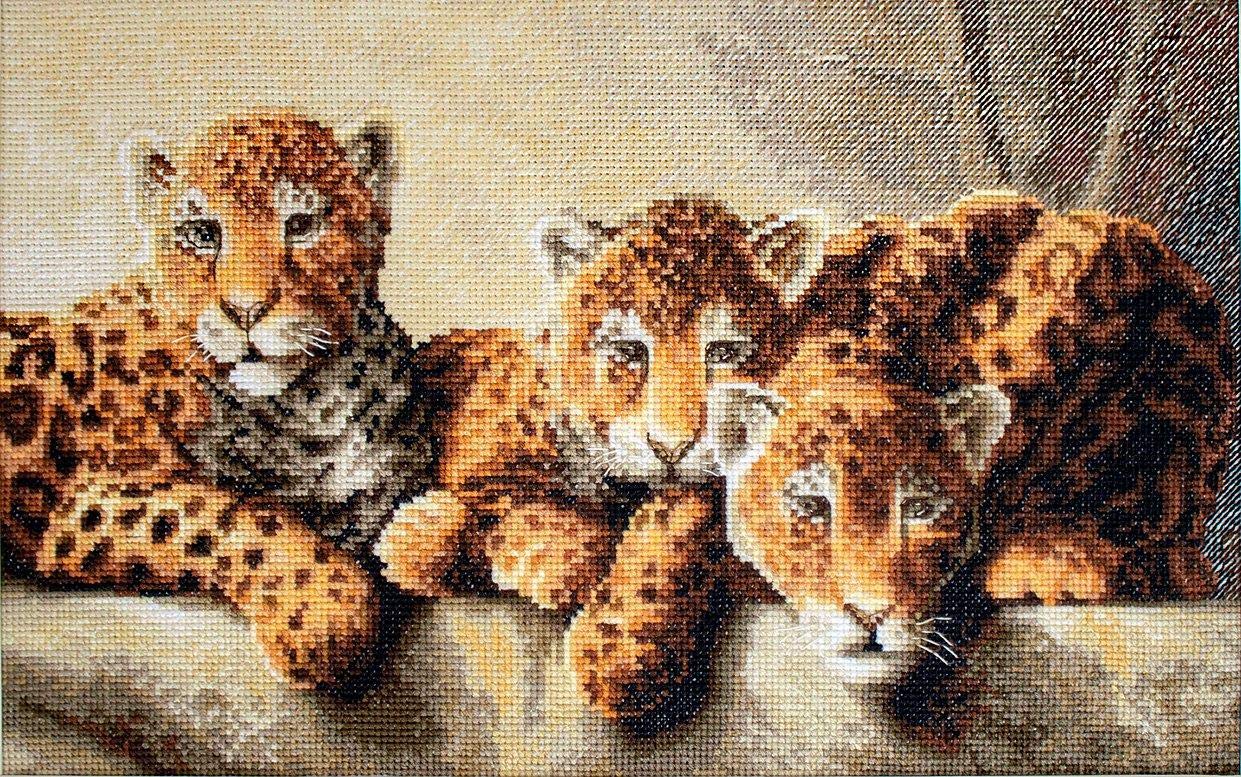 Lucas Multicoloured Letistitch Leti910 Cross Stitch Kit, Multi-Colour, 31 X 19 Cm