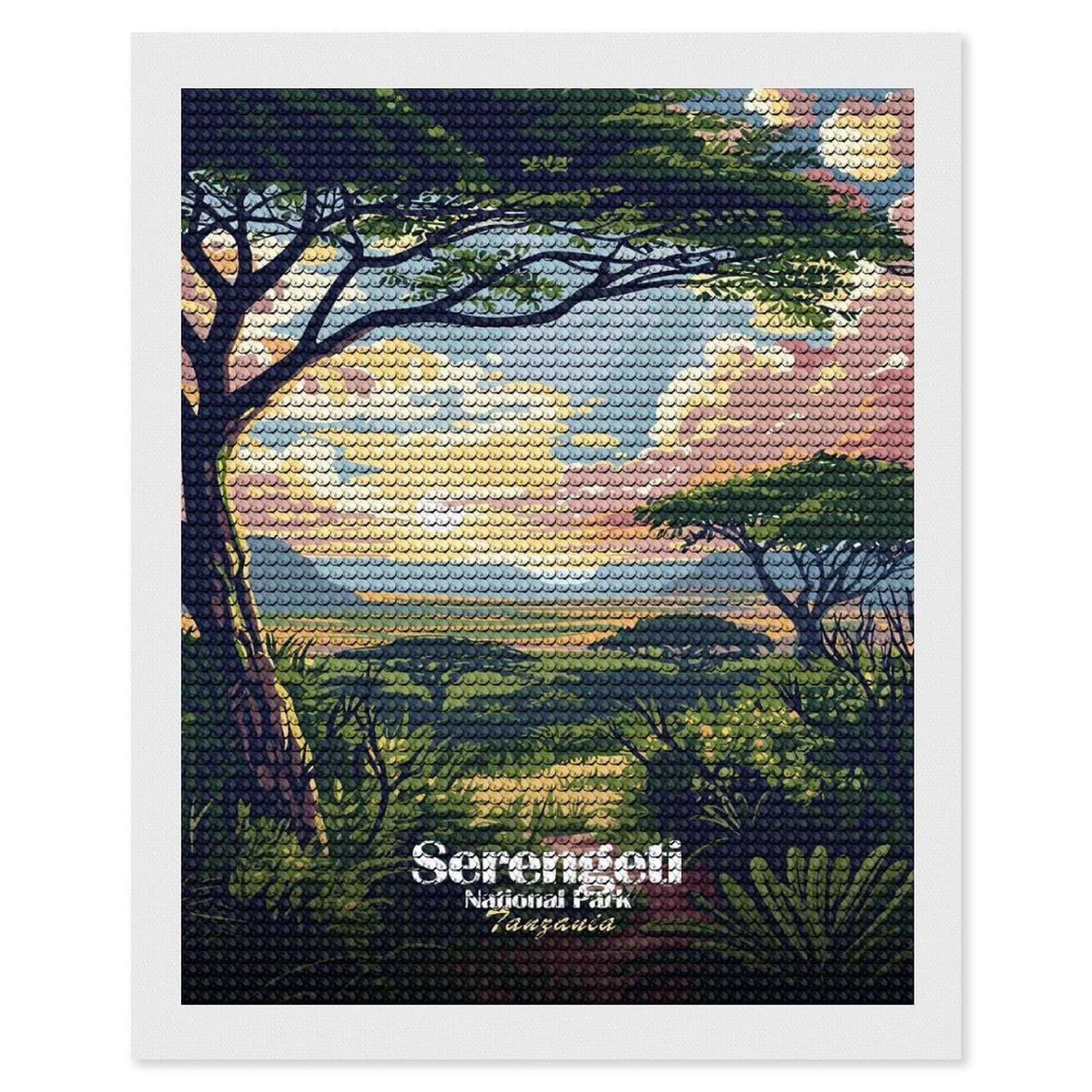 Junmoney Serengeti National Park Tanzania Art Full Drill Diamond Painting Kit 16"x20", for Teens, Calming Craft to Unwind, Home Wall Decor, Christmas Gift