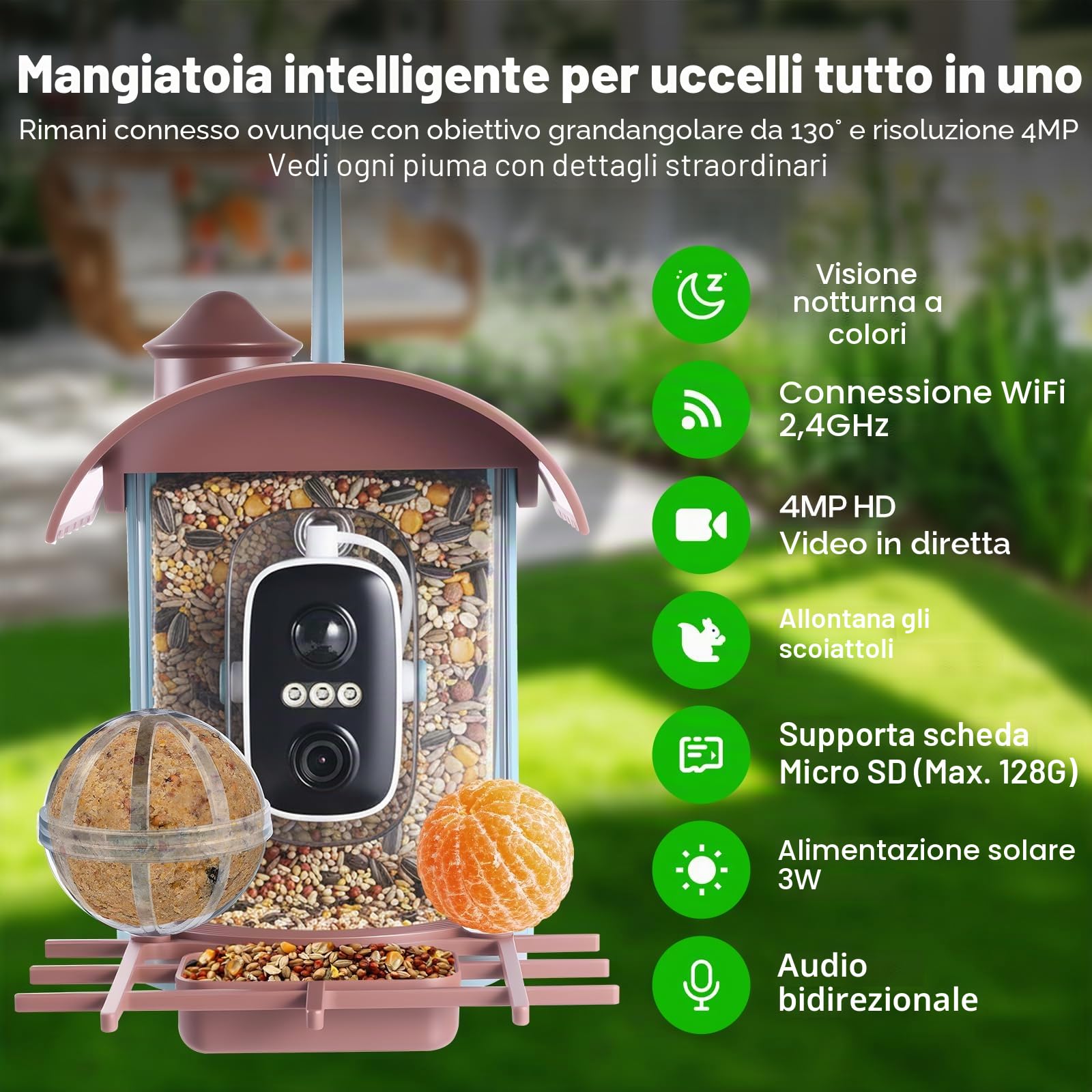 Casetta per uccelli con fotocamera da 4 MP, mangiatoia per uccelli a energia solare, mangiatoia per uccelli, registrazione video/foto, identificazione AI, rilevamento del movimento, notifica