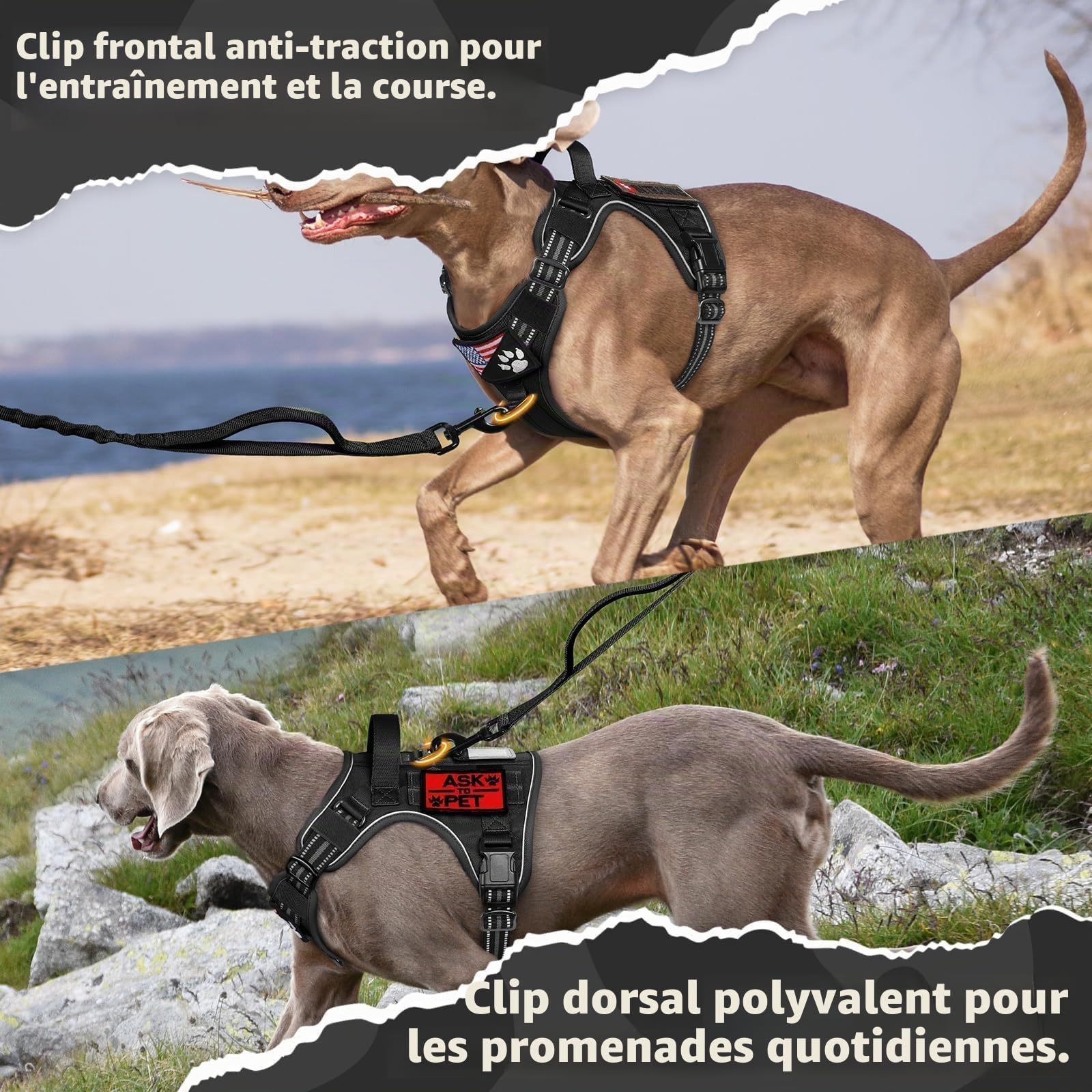 rabbitgoo Harnais Chien Anti Traction, Harnais Tactique Chien Réfléchissant Réglable avec Poignée et Anneaux, Gilet Solide Facile à Mettre, Harnais Chien Militaire pour Entraînement Chasse, Noir, L