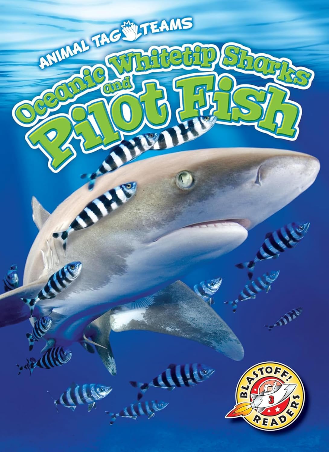 Oceanic Whitetip Sharks and Pilot Fish (Animal Tag Teams)