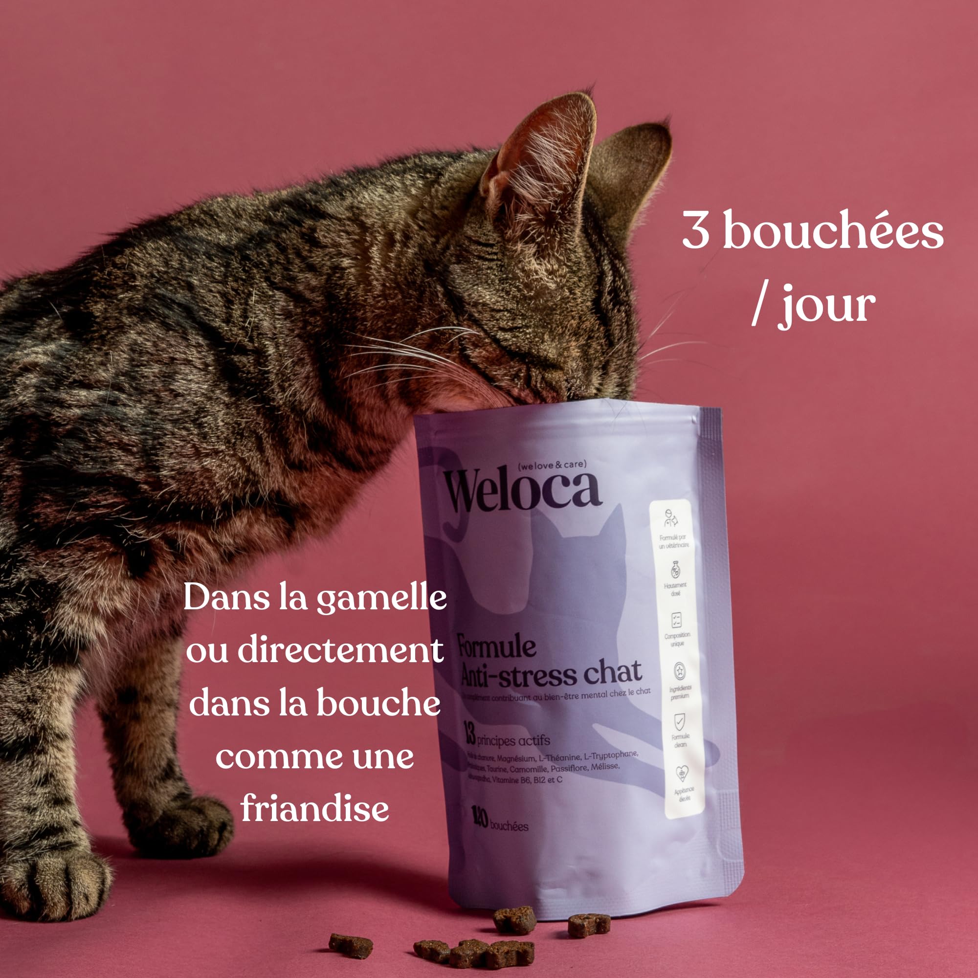 Anti-stress Chat - Anti marquage Urinaire, Anti griffade - Apaisant contre les problèmes comportementaux du chat ou changements (déménagement) - 120 bouchées naturelles très appétentes - Calmant chat