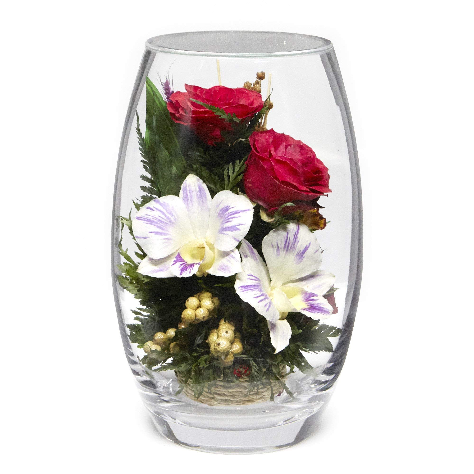 Fiora Flower | Long Lasting Real Roses and Orchids | Lasts up to 5 Years | Anniversary Floral Arrang