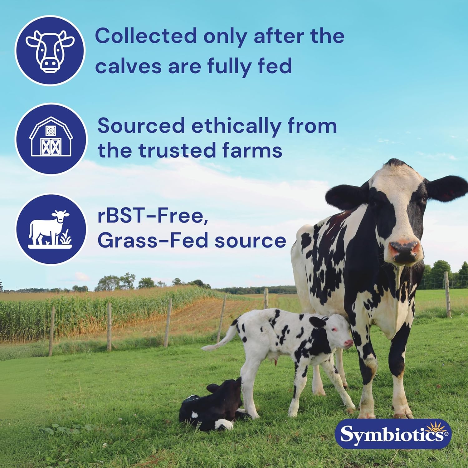 Symbiotics Colostrum Vegetable Capsules, 240 Count – with Lactoferrin and Naturally Occurring IgG – Gluten Free, RBST-Free - 240