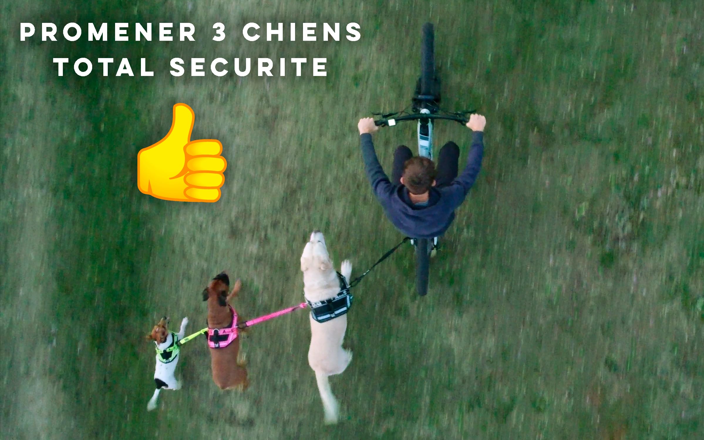 Laisse pour Chien à vélo, Installation sans Outils, Système breveté, Noir