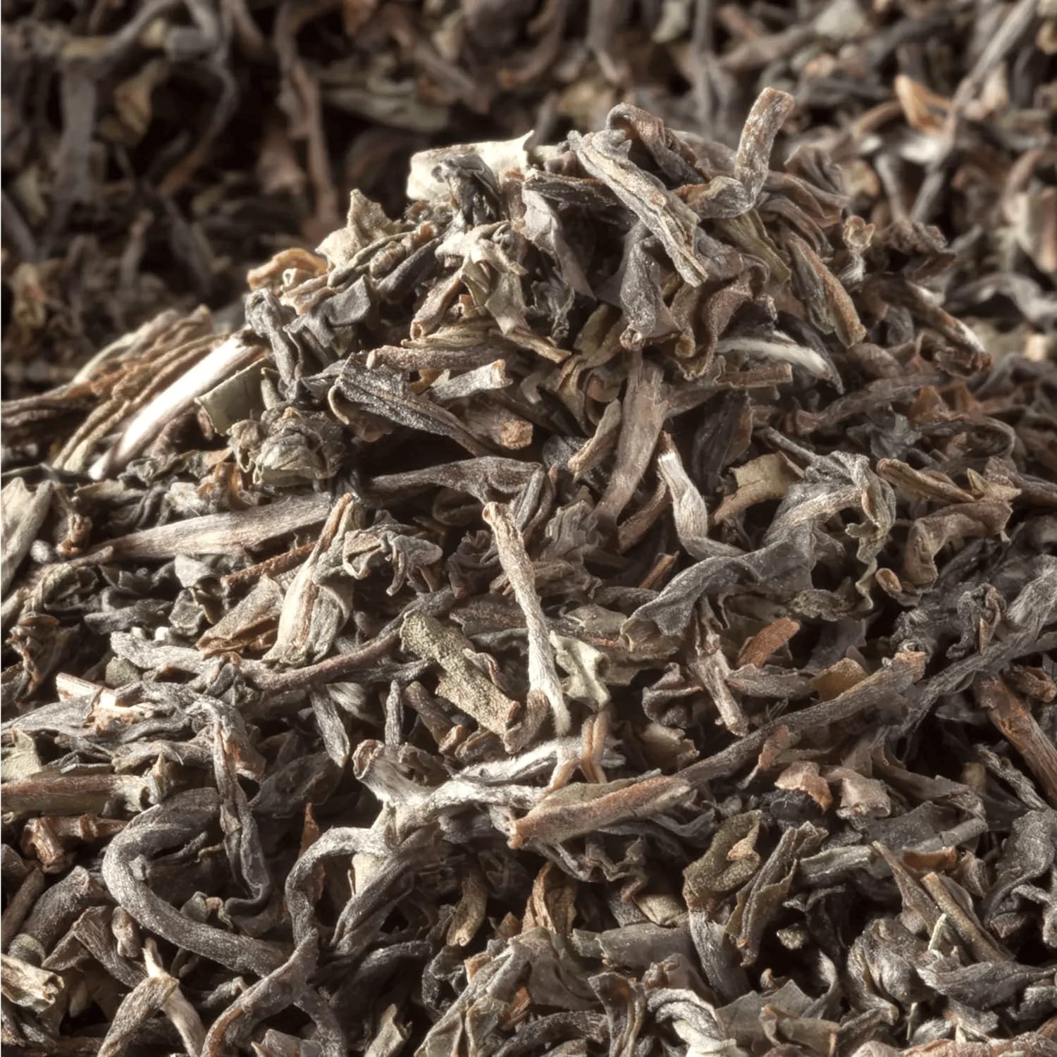 Bremer Gewürzhandel Darjeeling Lingia BIO, lose, feine Süße mit intensivem Aroma, für entspannte Momente, 10 x 100g