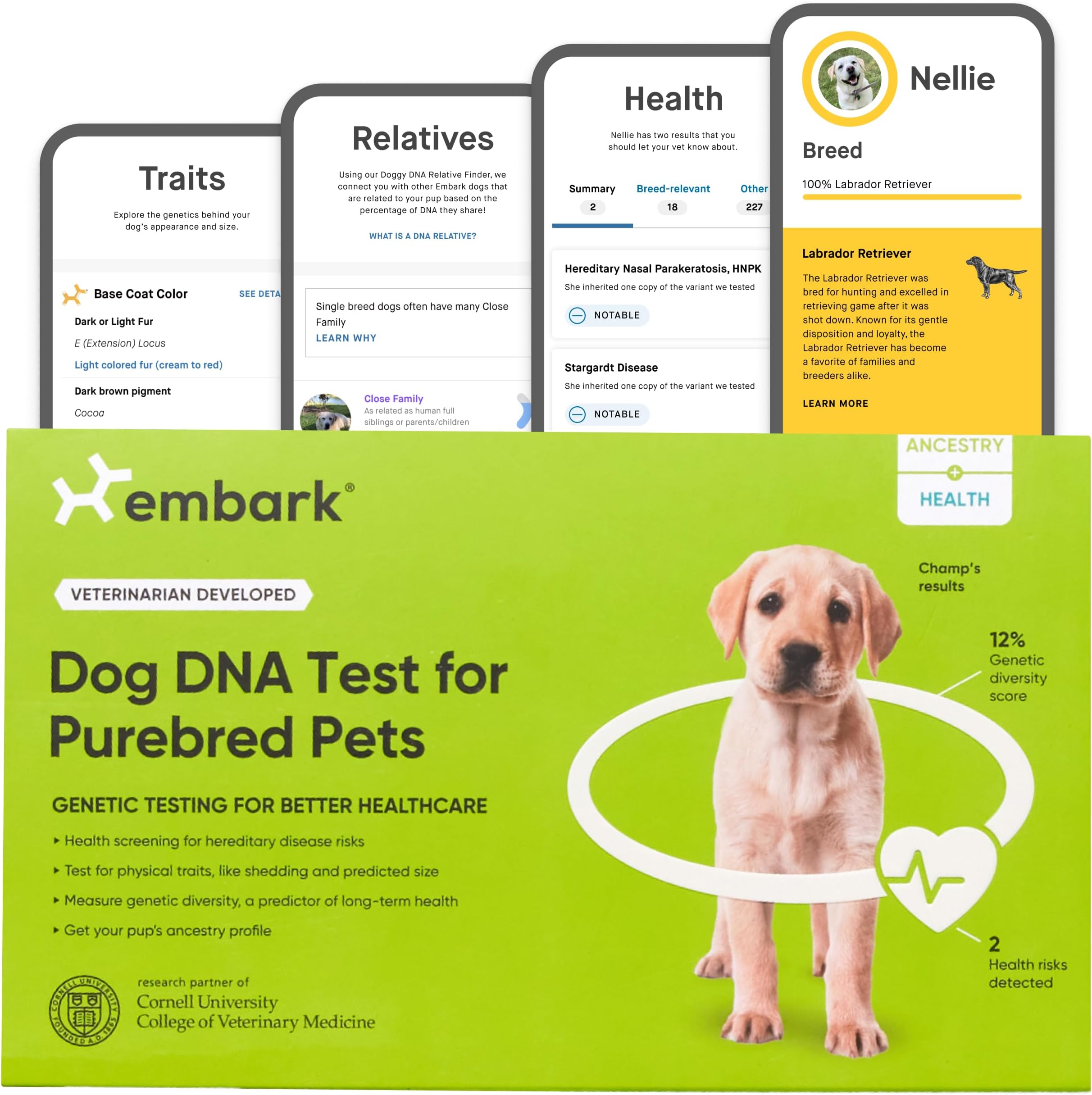 Dog DNA Test for Purebred Pets | Canine Genetic Health Screening & Genetic Diversity Score