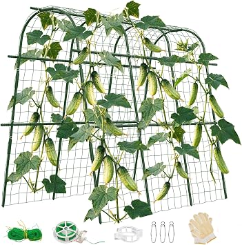65"48" Cucumber Trellis for Raised Bed, U-Shape Garden Trellis for Climbing Plants Outdoor, Metal Arch Vegetables Trellis, Detachable Cucumber Plant Support for Tomato,Squash