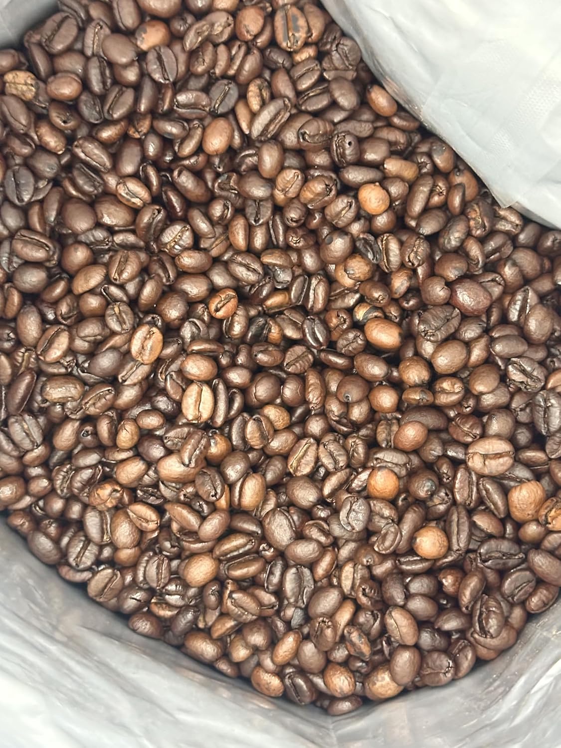Excelsa Coffee - Vietnam Medium Roast, Whole Bean, 5 lbs | Bright Fruity Flavor, Low Caffeine, Pesticide-Free