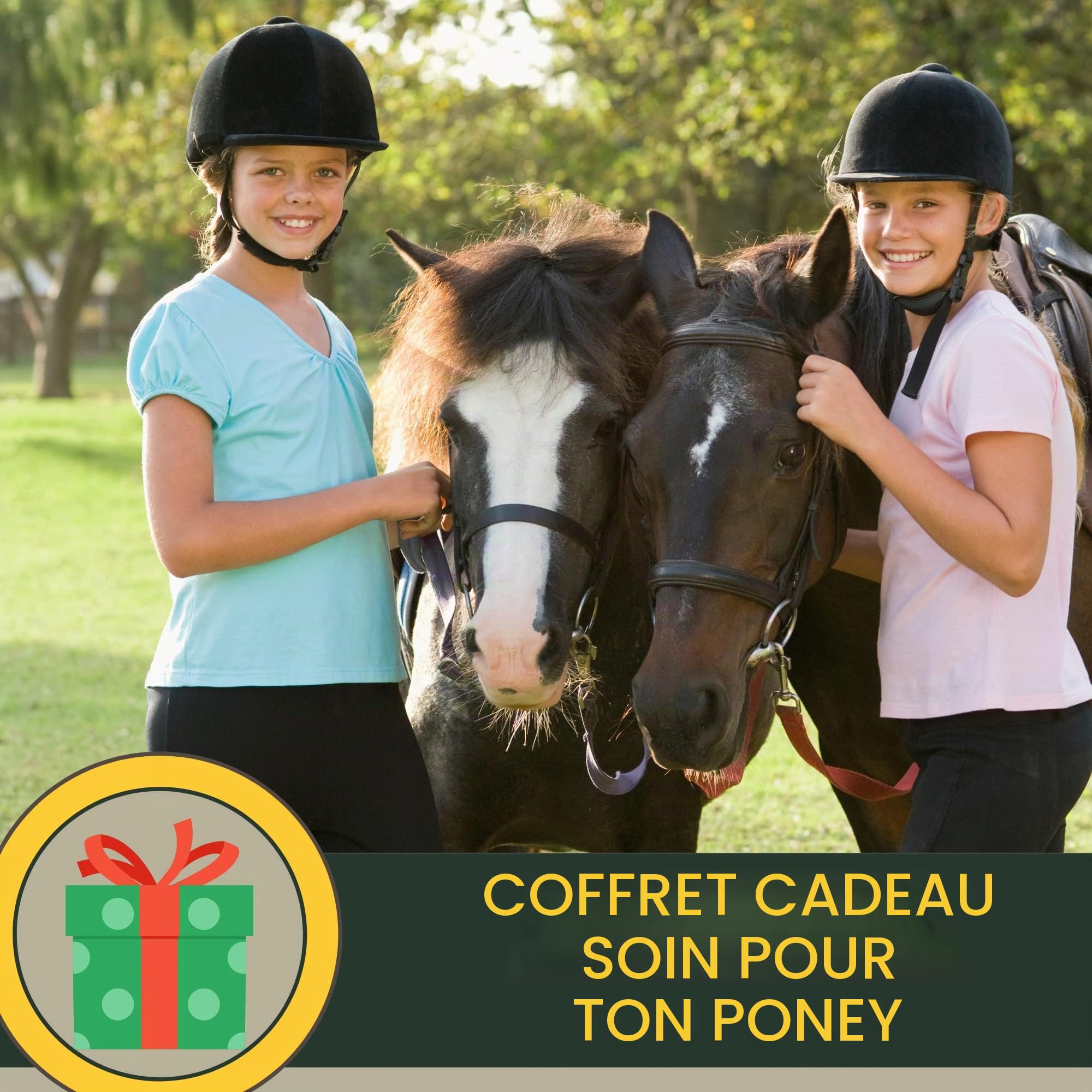 Spray pour crinière de cheval I Spray pailleté pour robe et poils longs I graisse pailleté I Kit de soins pour chevaux 3 pièces enfants I Spray pour queue rose I spray avec paillettes 500ml 2*250ml