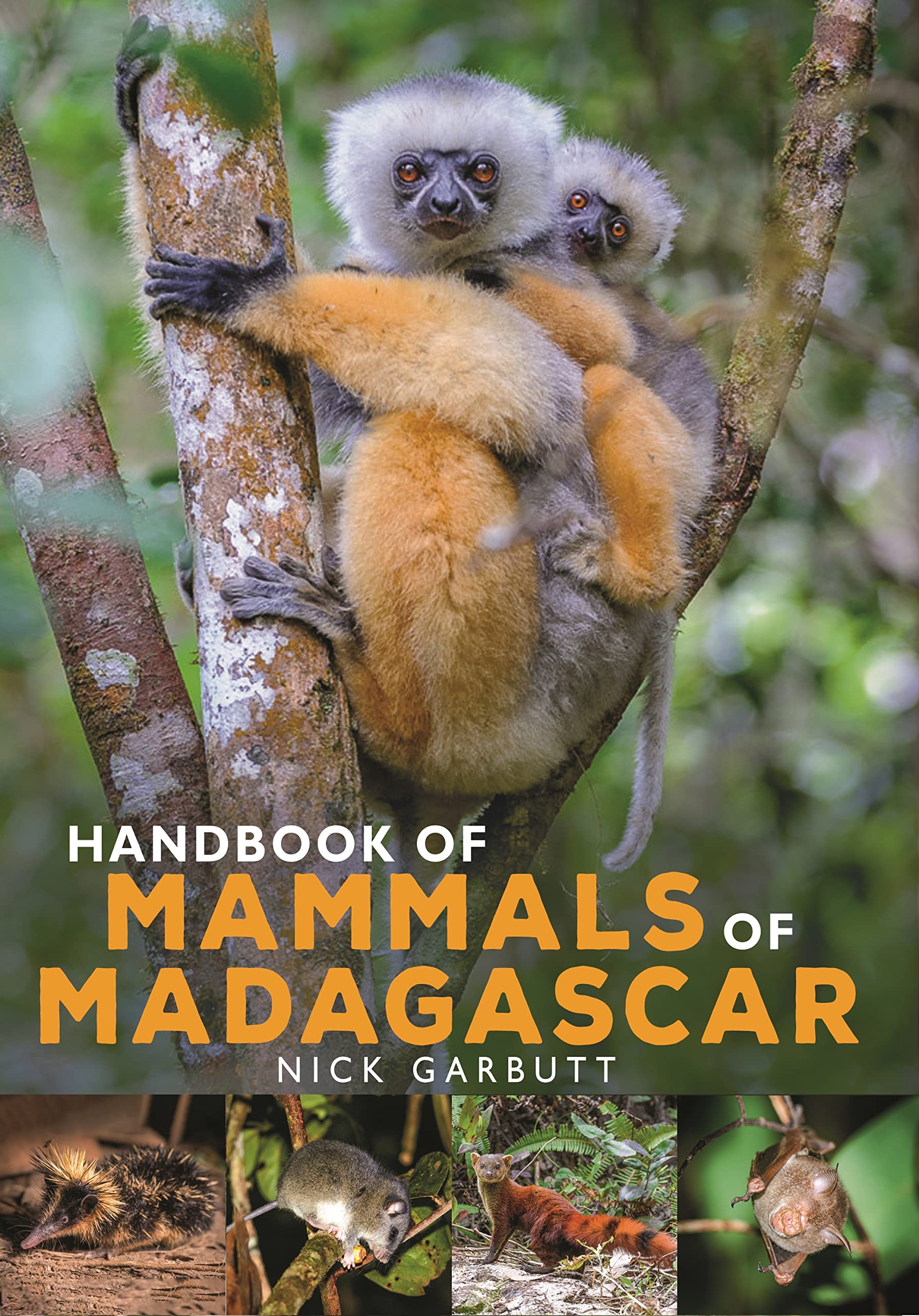 Handbook of Mammals of Madagascar by Nick Garbutt HARDBACK 9781472985934