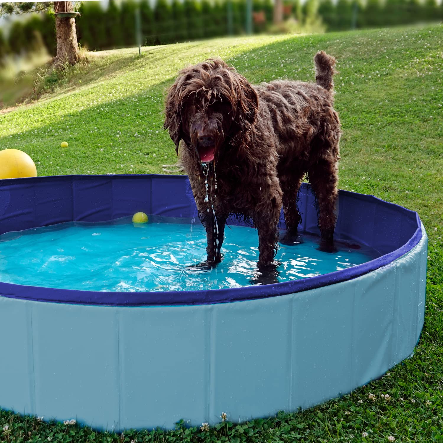Furdreams Faltbares Haustier-Schwimmbecken, Hartplastik-Hundebadewanne, tragbares, multifunktionales, rutschfestes PVC-Kinderbecken für den Außenbereich enießen Sie Sommerglanz in Ihrem Garten (Large)