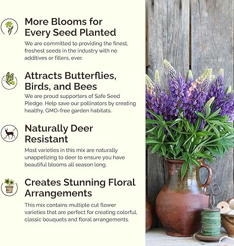 Miniatura 4 de Eden Brothers Semillas mixtas de flores silvestres de Texas para plantar, 1 libra, más de 480,000 semillas con aciano, ojos de pájaro, margarita