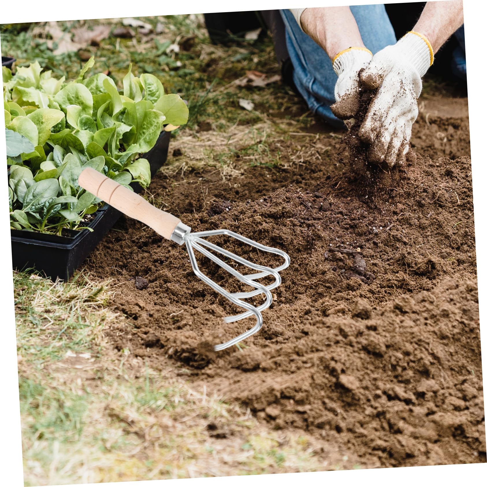 Toddmomy 2pezzi Rastrello Da Giardinaggio Denti Strumento Manuale Per Lavorare Terreno Per Allentare Suolo e Scavare Tuberi Manico Ergonomico Per Maggiore Comfort e Controllo