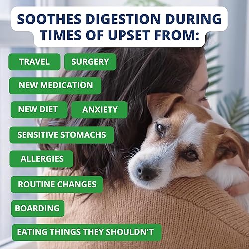 Vista 4 de Under the Weather Dieta suave para perros Fácil de digerir para perros enfermos Siempre esté listo Contiene electrolitos – Carnes naturales