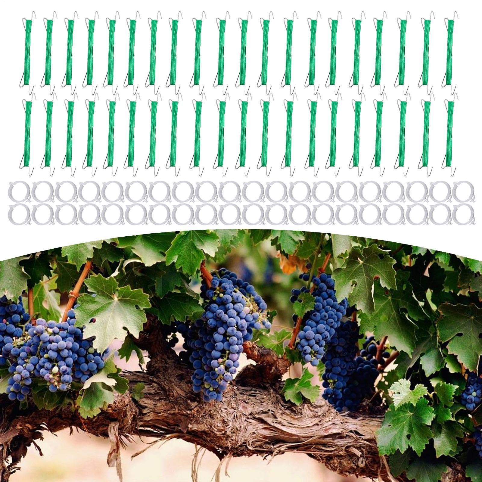 Ganci per Pomodori Anti-Pizzicamento Supporto Robusto | 40 Pezzi Doppi Ganci per Pomodori con Spago Incluso Per Cetrioli, Frutta, Colture, Interno Ed Esterno, Giardino, Fattoria,