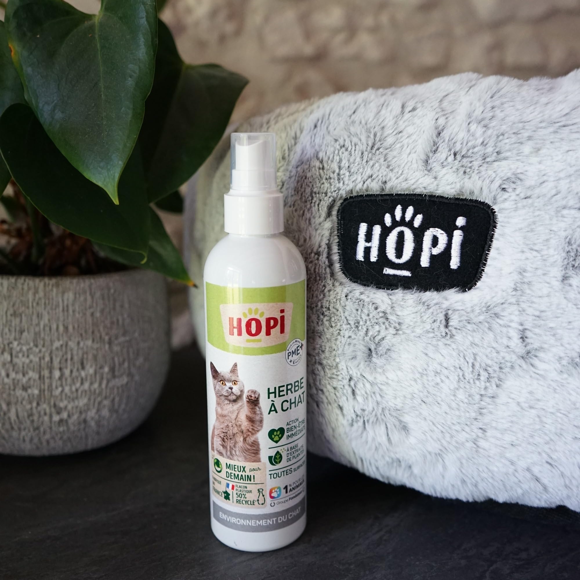 HOPI Spray herbe à Chat 200 ml - Extraits de Plantes - Stimule le Bien Être à la Maison ou dans un nouveau Lieu - Facile à transporter - Convient à tous types de supports - Fabriqué en France