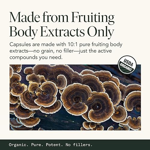 Miniatura 7 de Cápsulas orgánicas de hongos de cola de pavo Suplemento de hongos para la salud intestinal y el apoyo inmunológico, hongos funcionales, pastillas