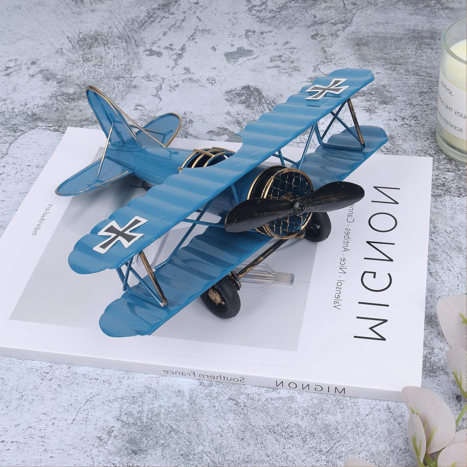 Amazon.com: Tyenaza Vintage Blue Iron Airplane Model, Retro Metal