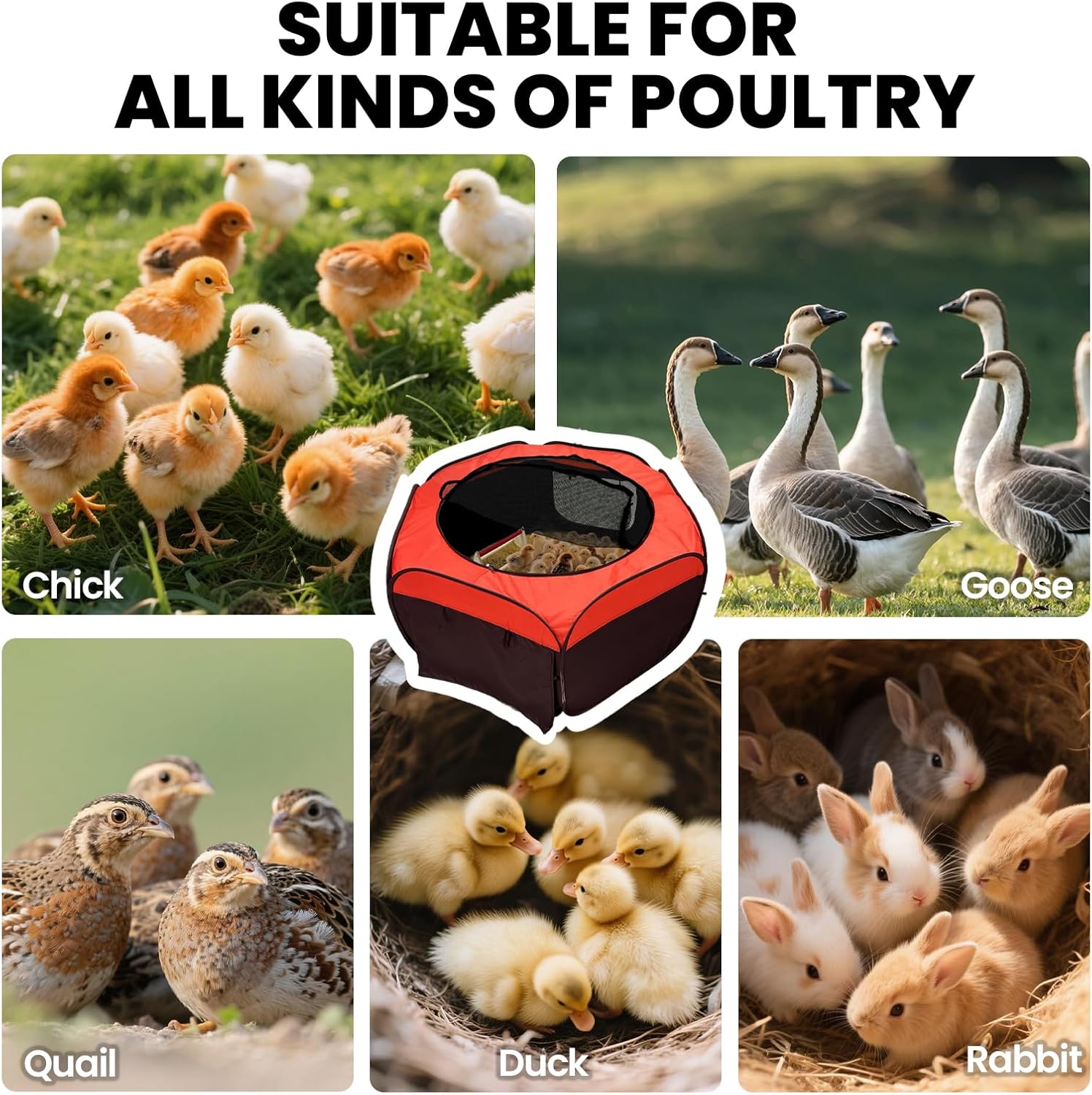 Brooder Box for Chickens with Timer-Controlled Chick Heating Pad - Chicken Feeder and Waterer Set for Chicks Indoor Accommodates Up to 20 Chicks - Ideal for Winter Chickens, Ducks, Geese, Quails