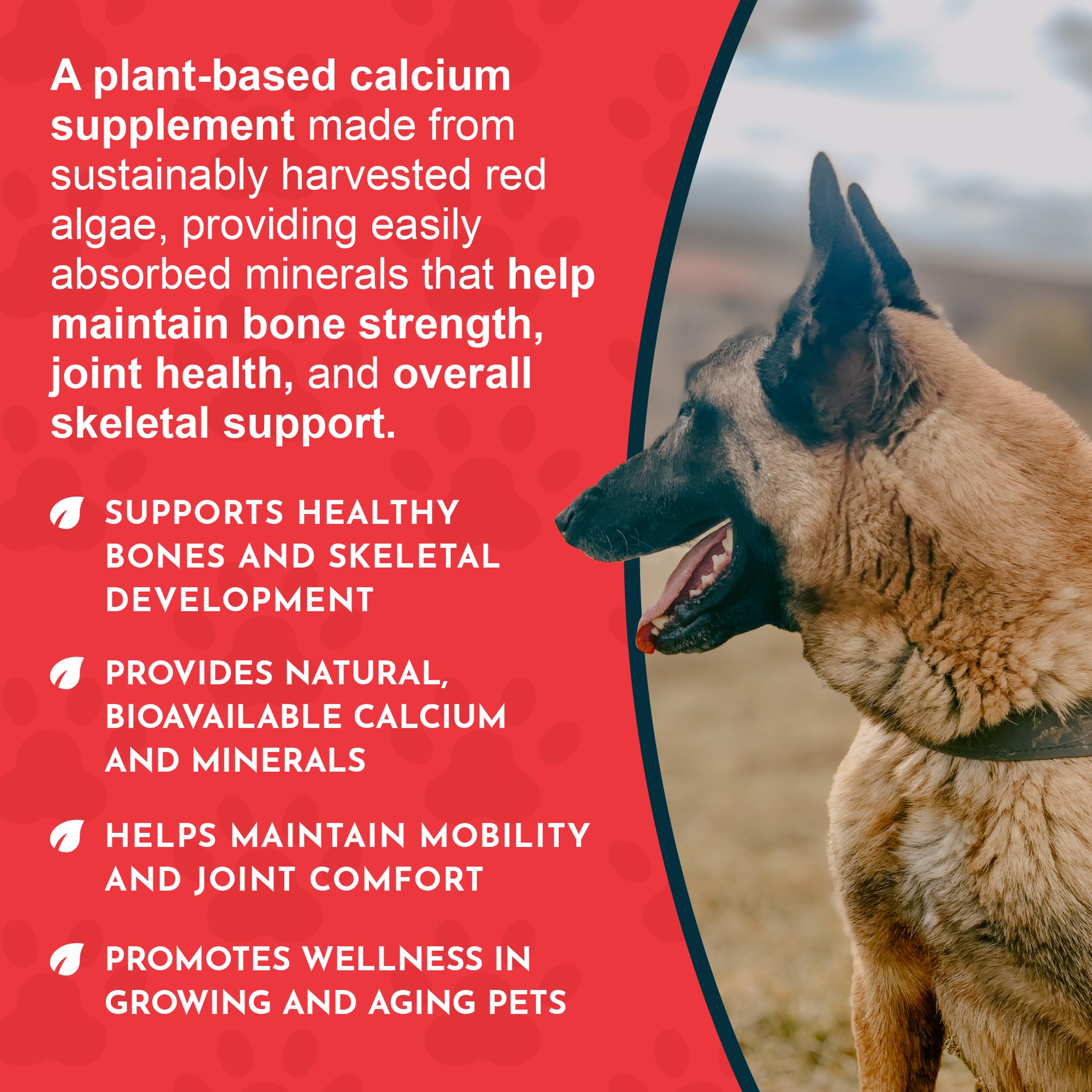Animal Essentials Seaweed Calcium 340 gm 2 Pack